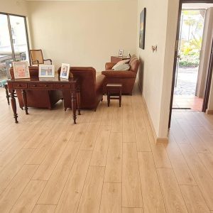 214601058 1458380561165636 6449253421194345302 n