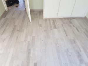 37230139 664325223904511 6407930784308527104 n