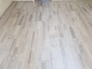 37273158 664325353904498 2709588927383076864 n