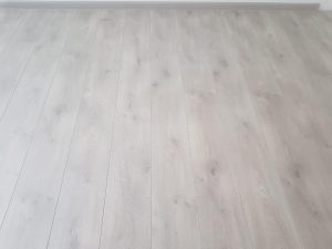 40239962 709021742768192 3389571611429437440 n