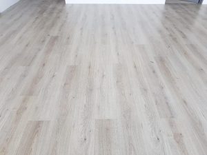 46502033 751454088524957 1635483933833428992 n