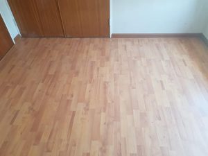 47355523 759809234356109 5919332470037151744 n