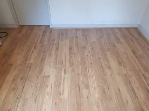 50614317 785122855158080 6597174920340307968 n