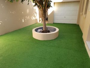 65366836 883366135333751 3709589740618514432 n